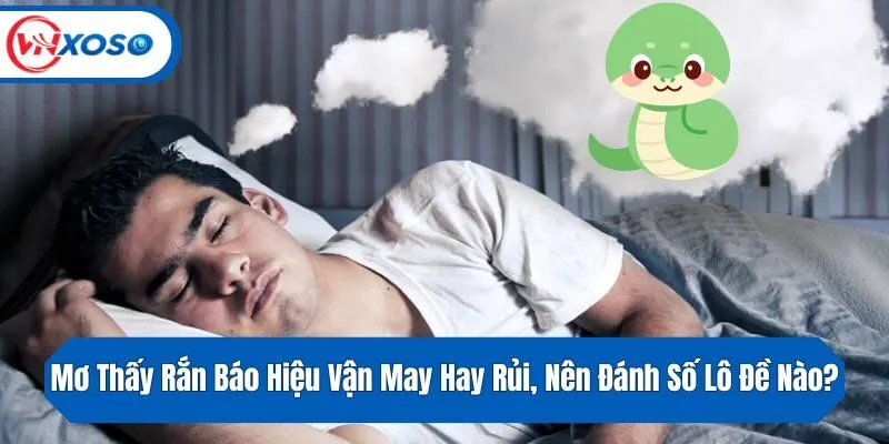 Mơ Thấy Rắn Báo Hiệu Vận May Hay Rủi, Nên Đánh Số Lô Đề Nào?
