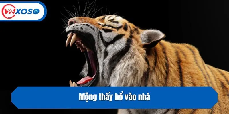 Mộng thấy hổ vào nhà